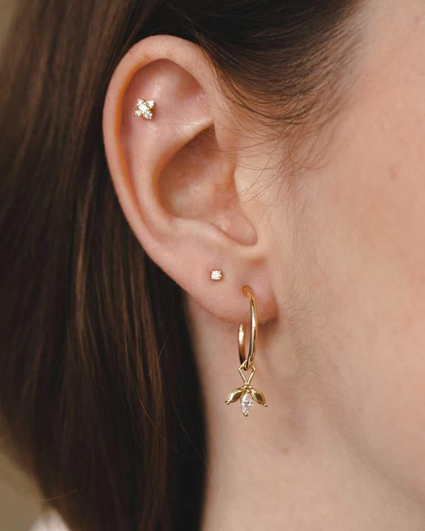 צ׳ארם פאולין