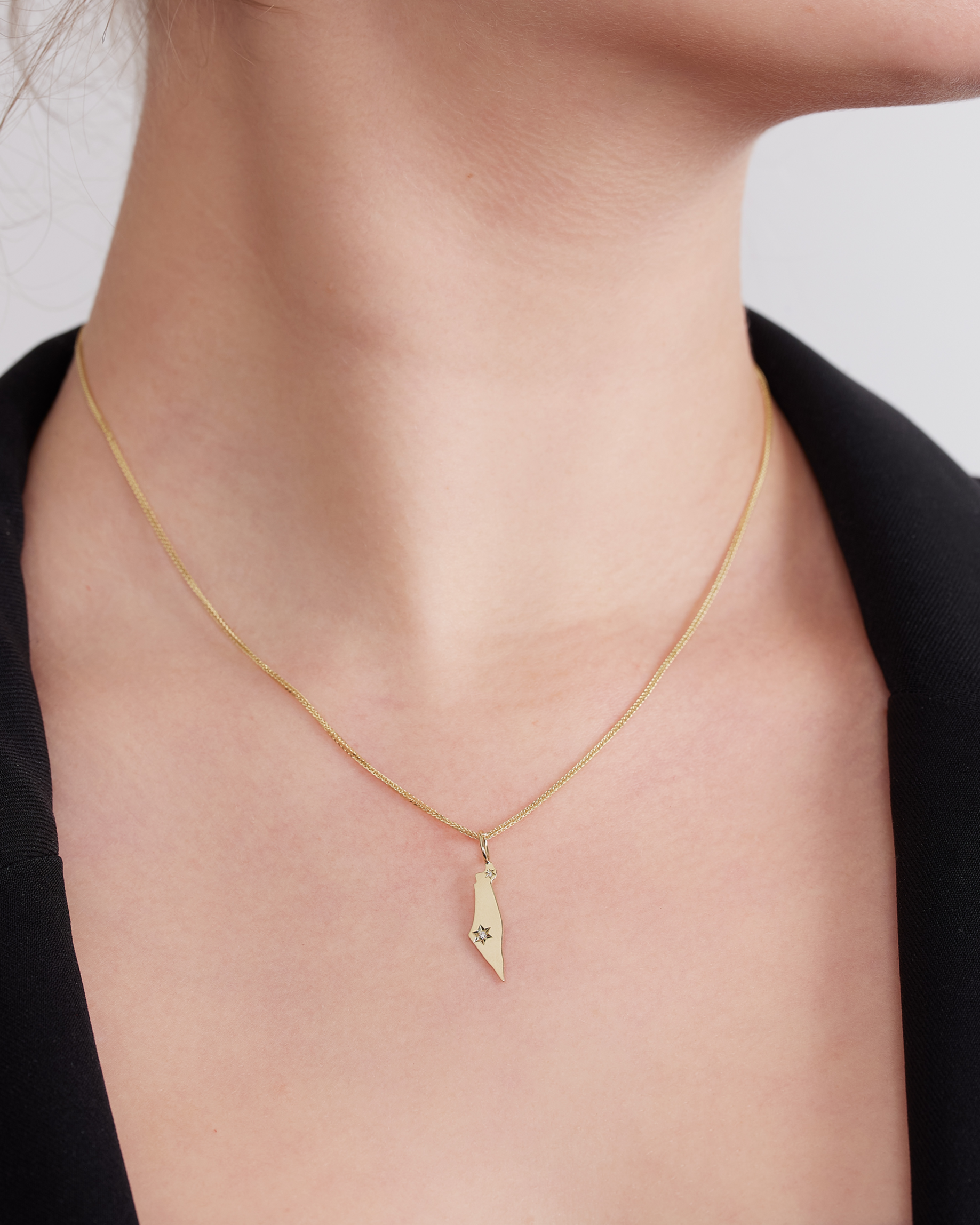 תליון ארץ ישראל מגן דוד צפון ועוטף