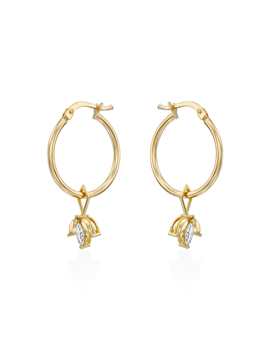 צ׳ארם פאולין