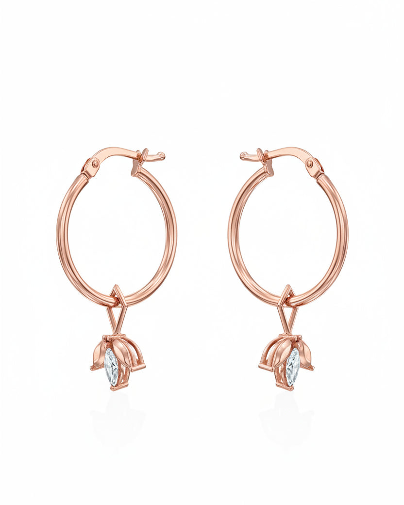 צ׳ארם פאולין