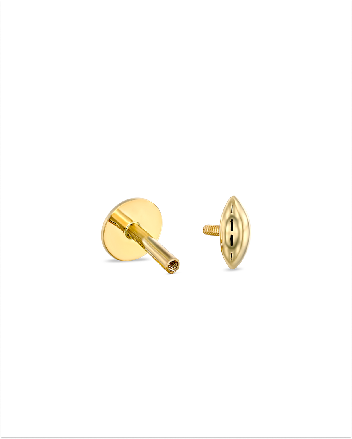 עגיל פירסינג הולי