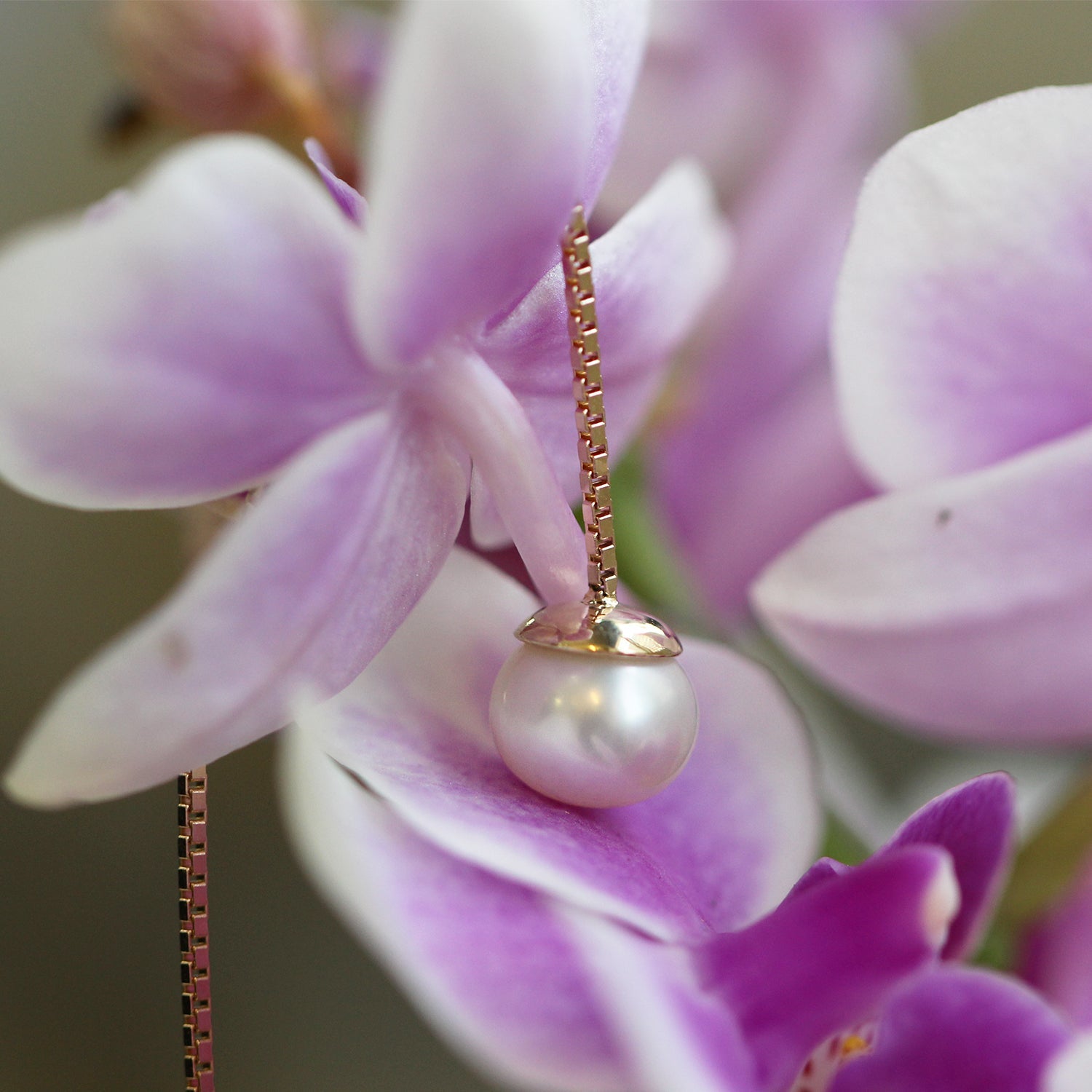 עגיל זהב בלה פנינה
