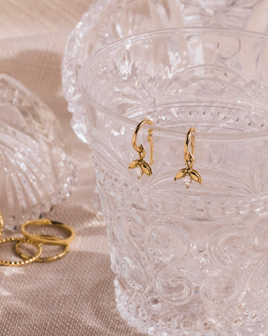 צ׳ארם פאולין