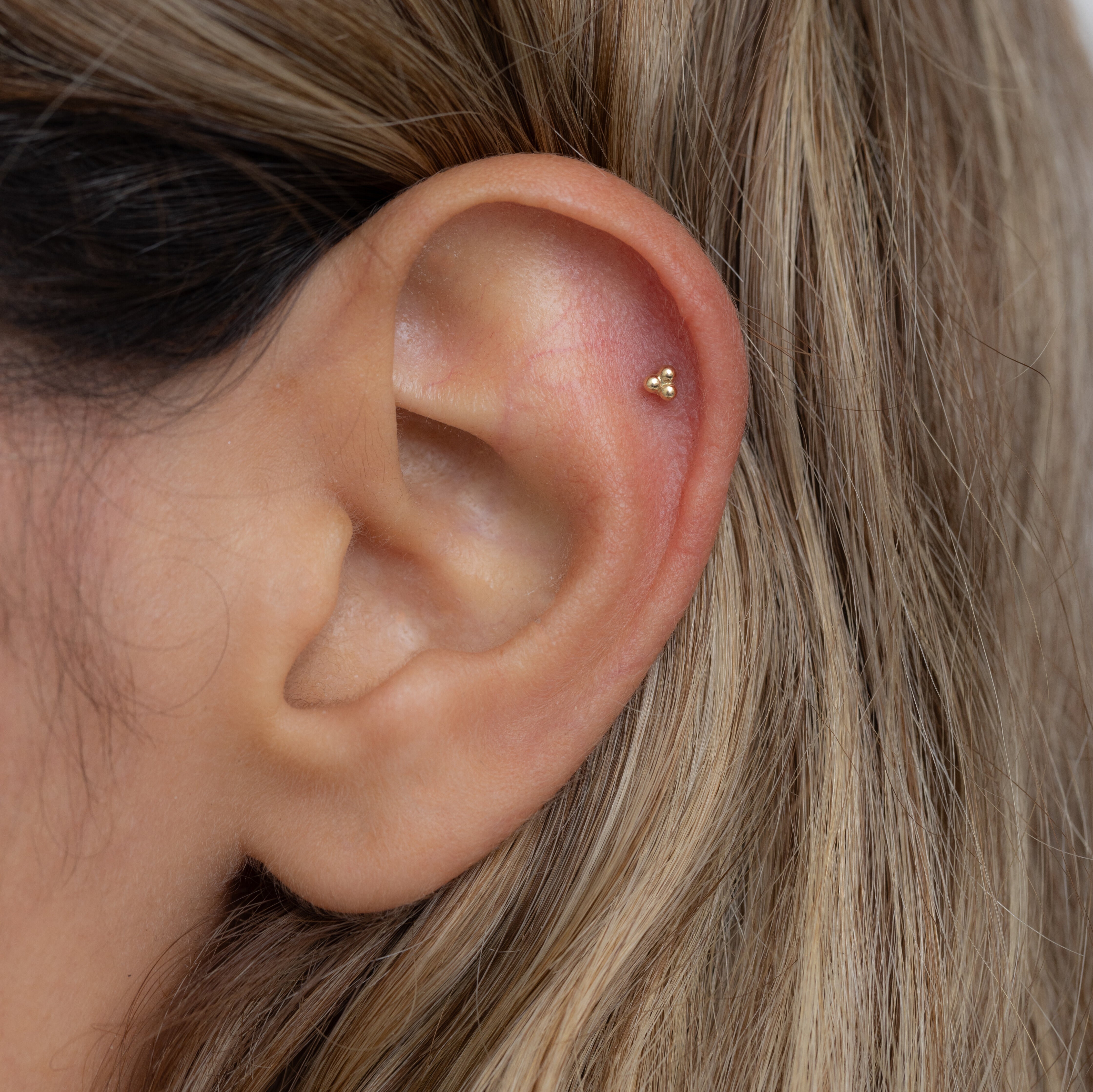 עגיל פירסינג דוטי