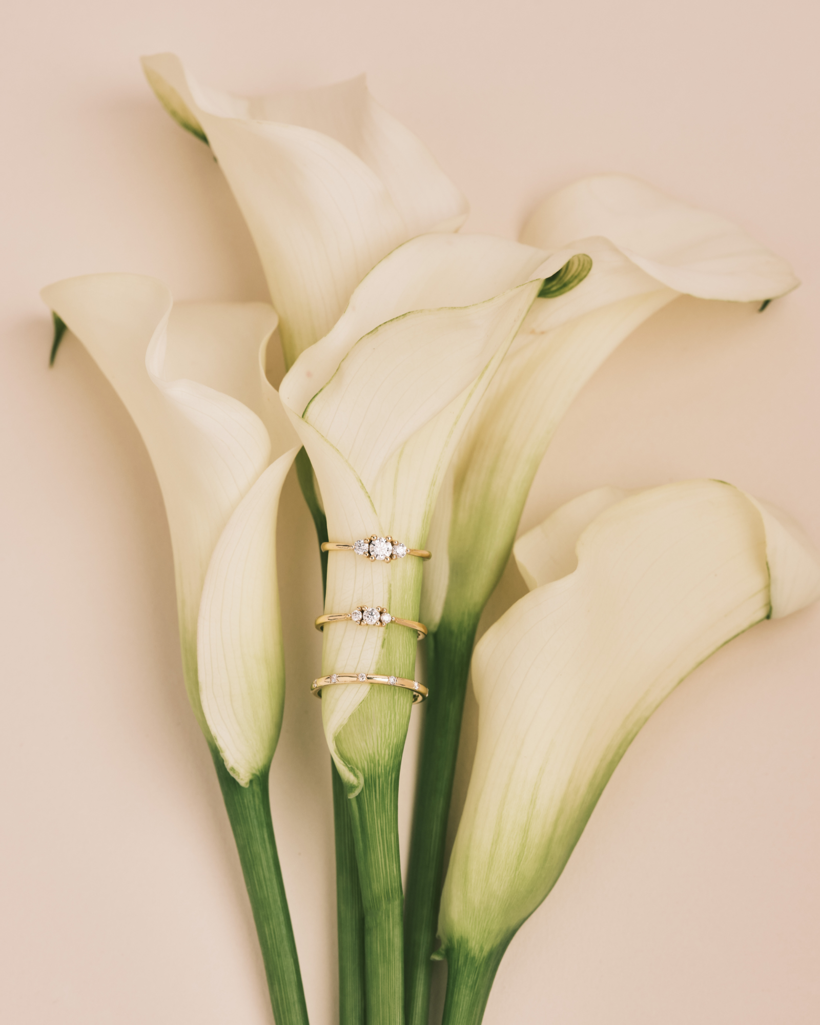 טבעת אודרי יהלומים לבנים 3 מ"מ