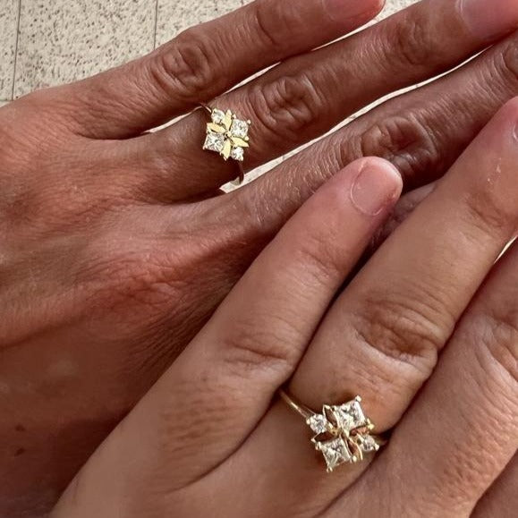 הטבעת של דניאל ואופיר