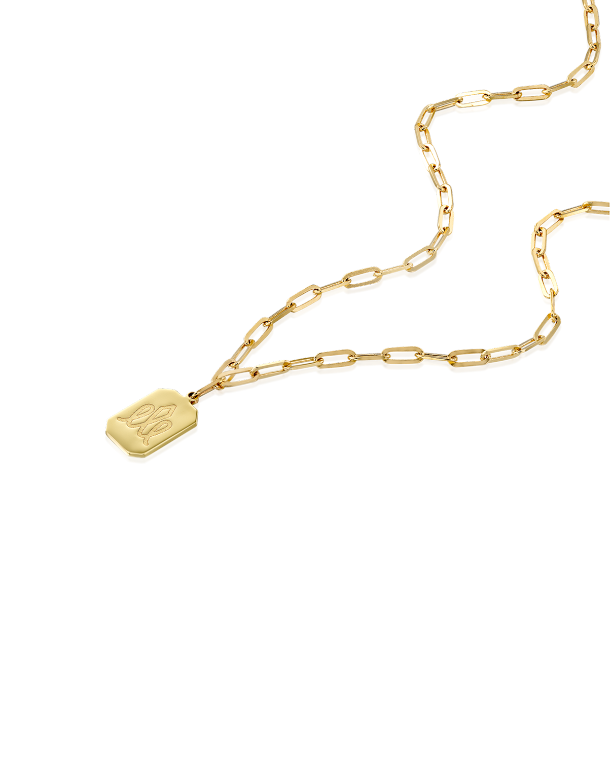 שרשרת דיסקית