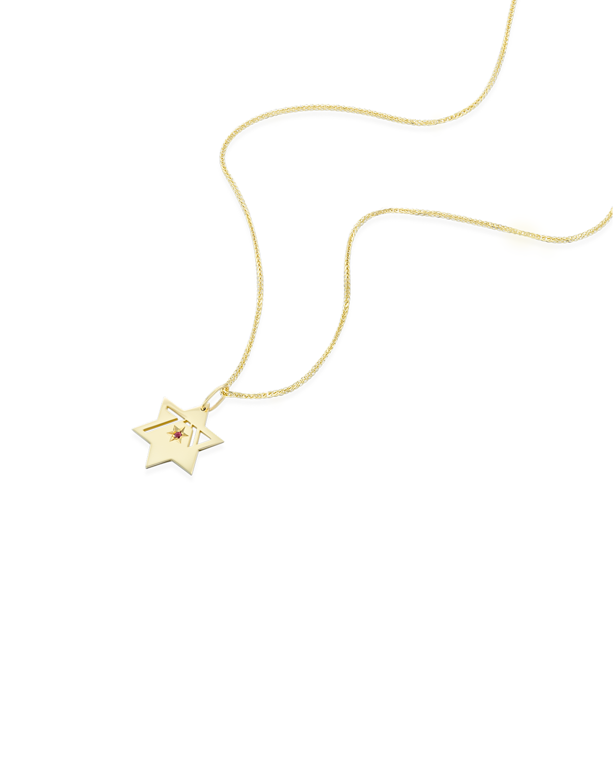 תליון הגבורה עם רובי