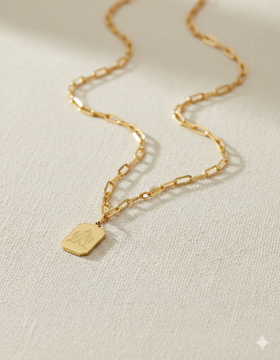 שרשרת דיסקית