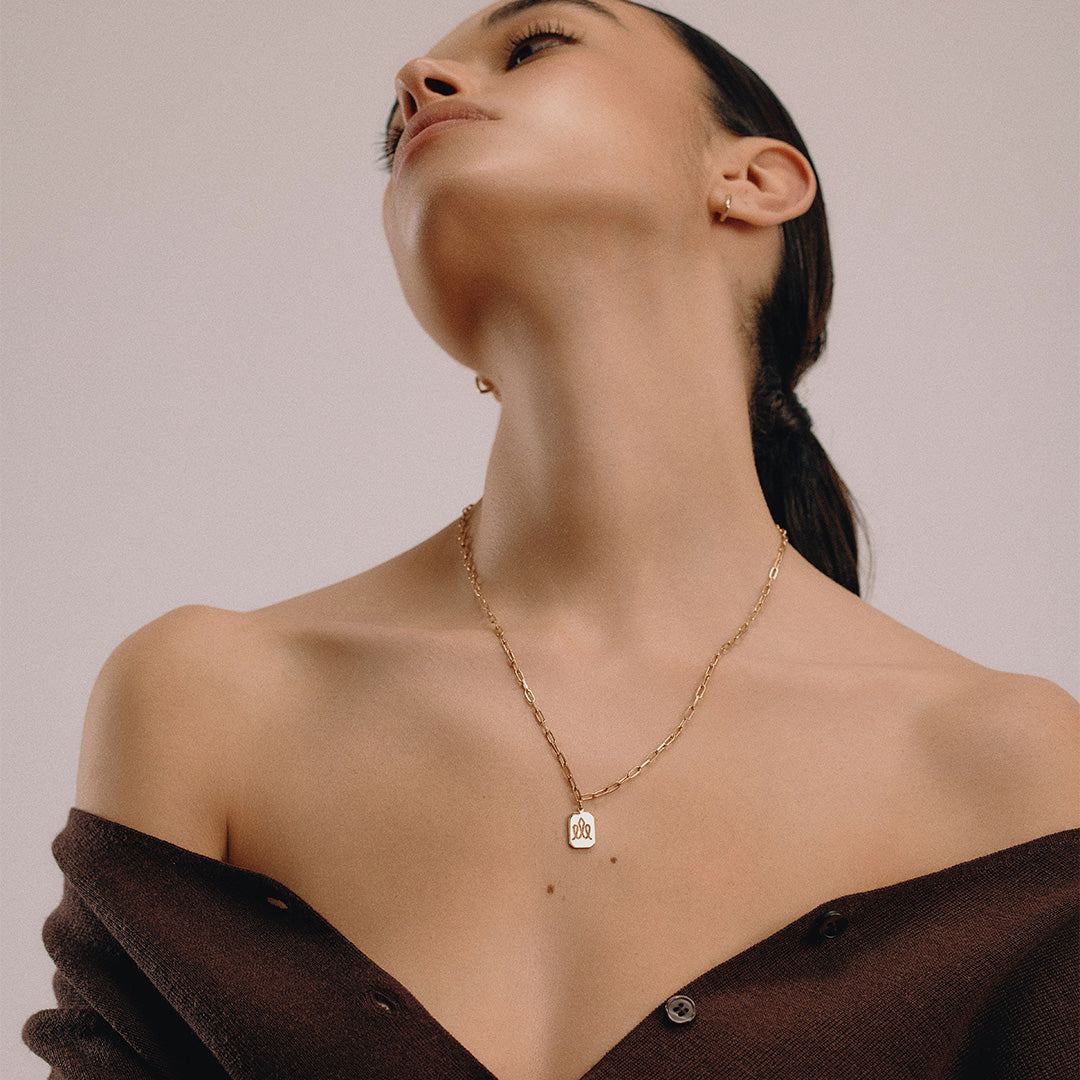 שרשרת דיסקית