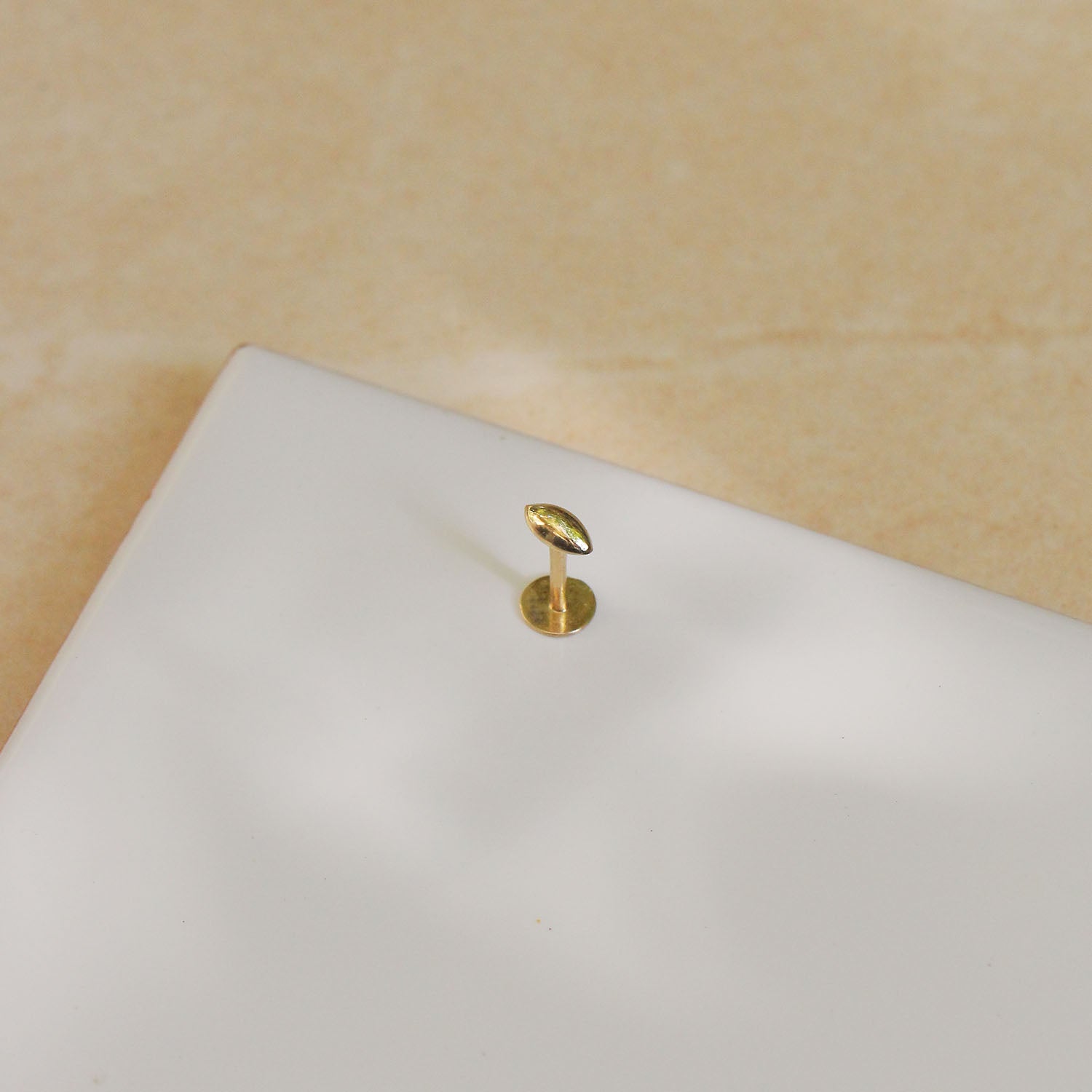 עגיל פירסינג הולי