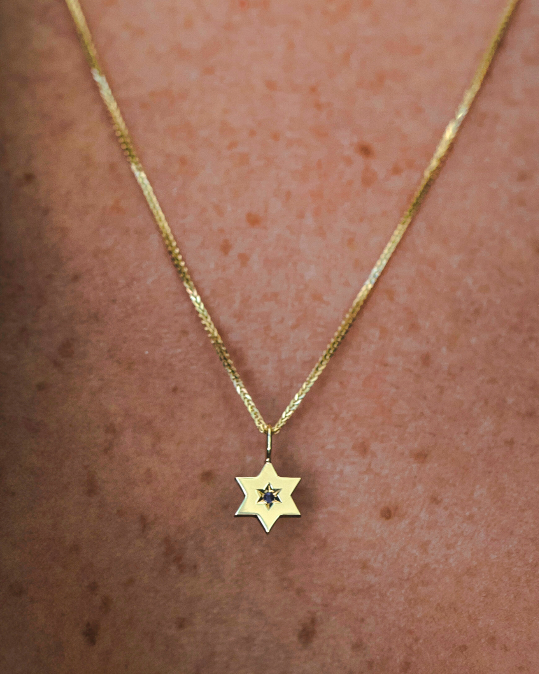 תליון מגן העוטף ספיר