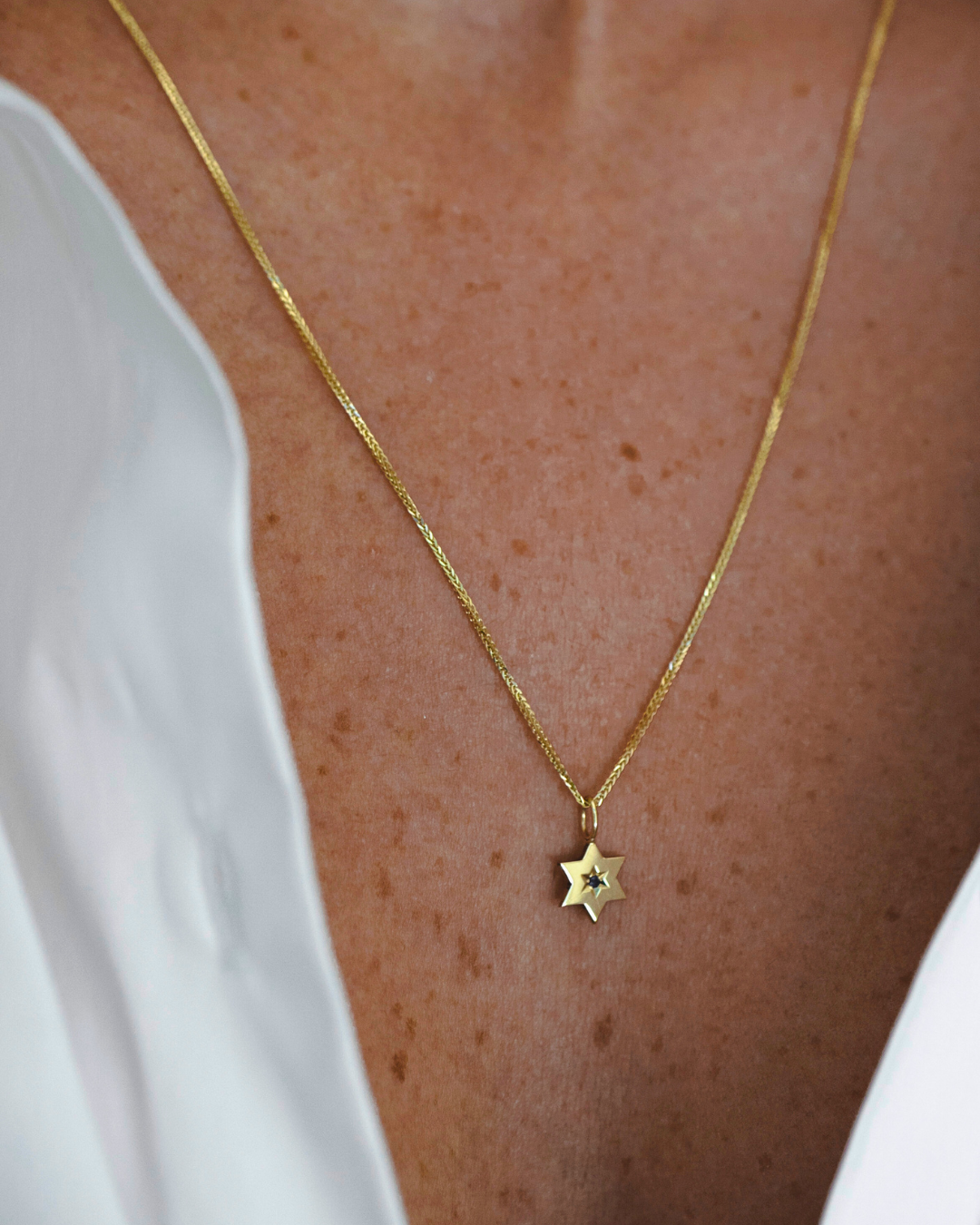 תליון מגן העוטף ספיר