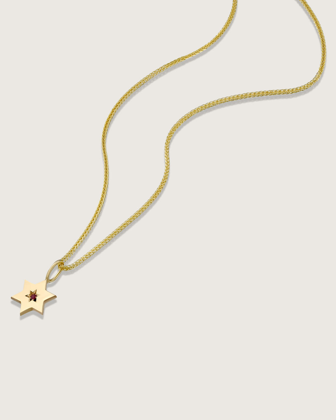 תליון מגן העוטף רובי