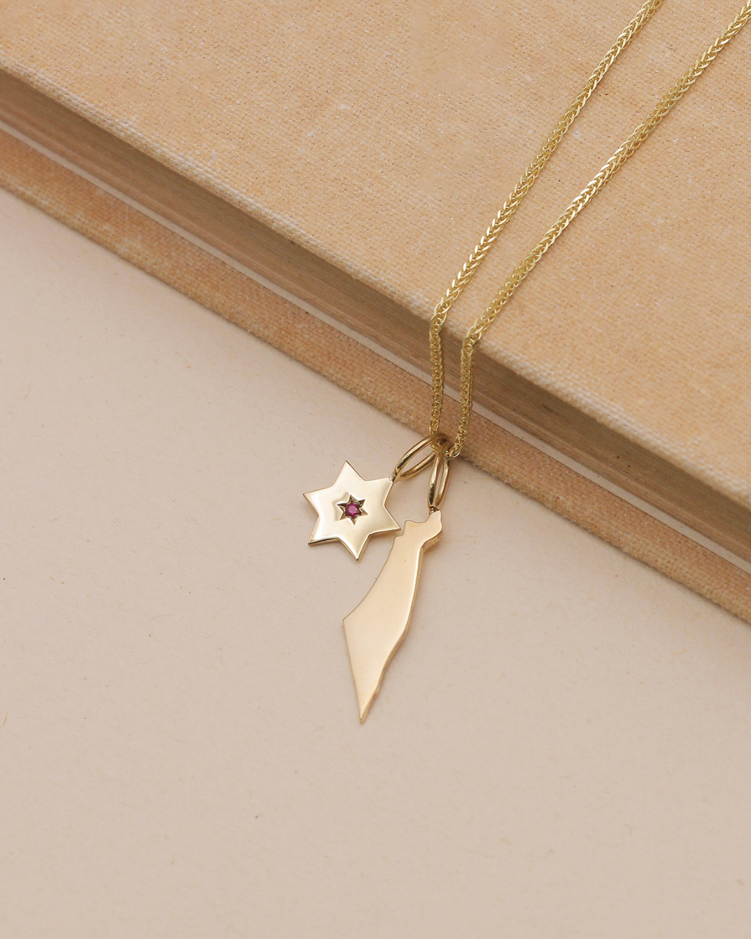 תליון מגן העוטף רובי