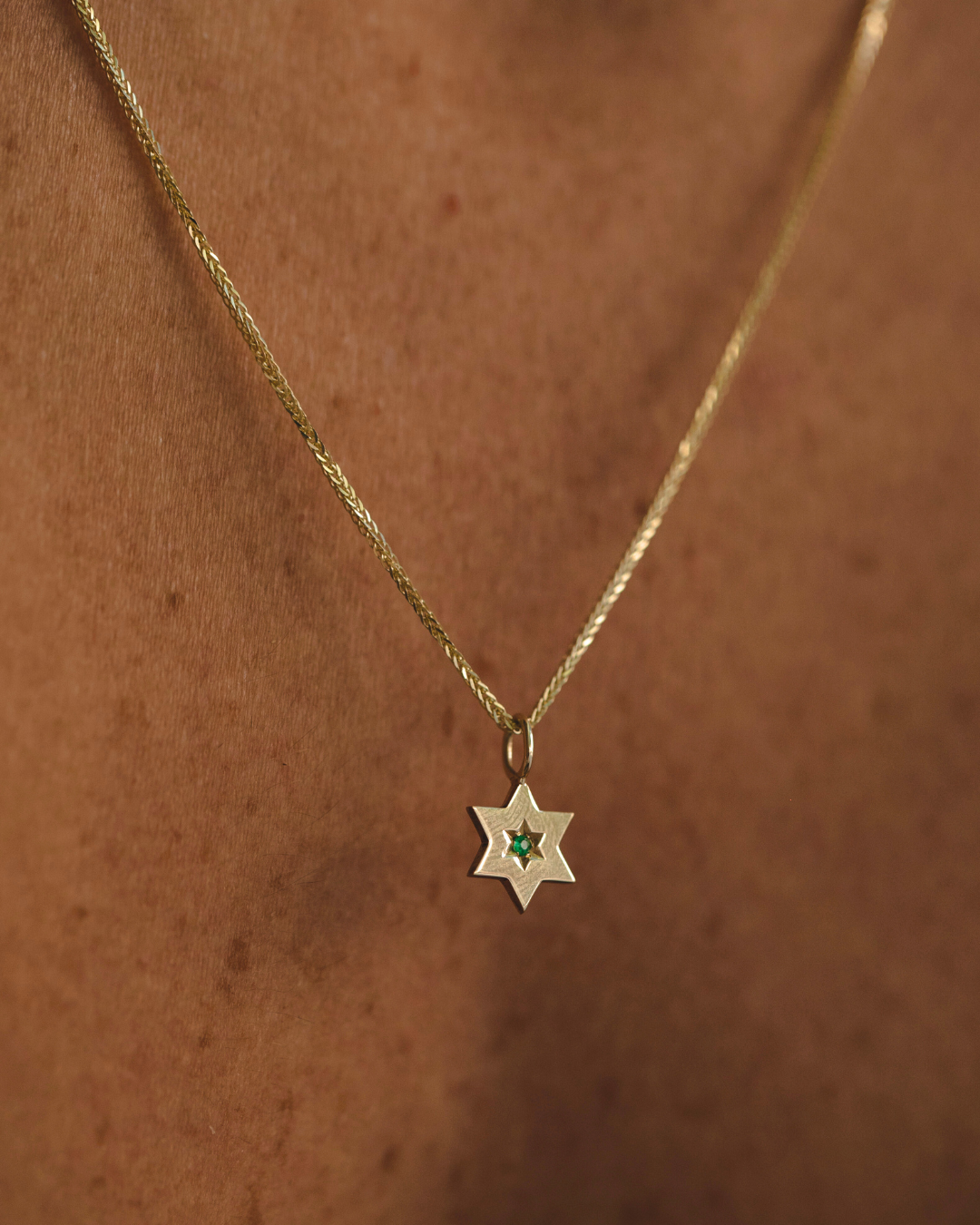 תליון מגן העוטף אמרלד