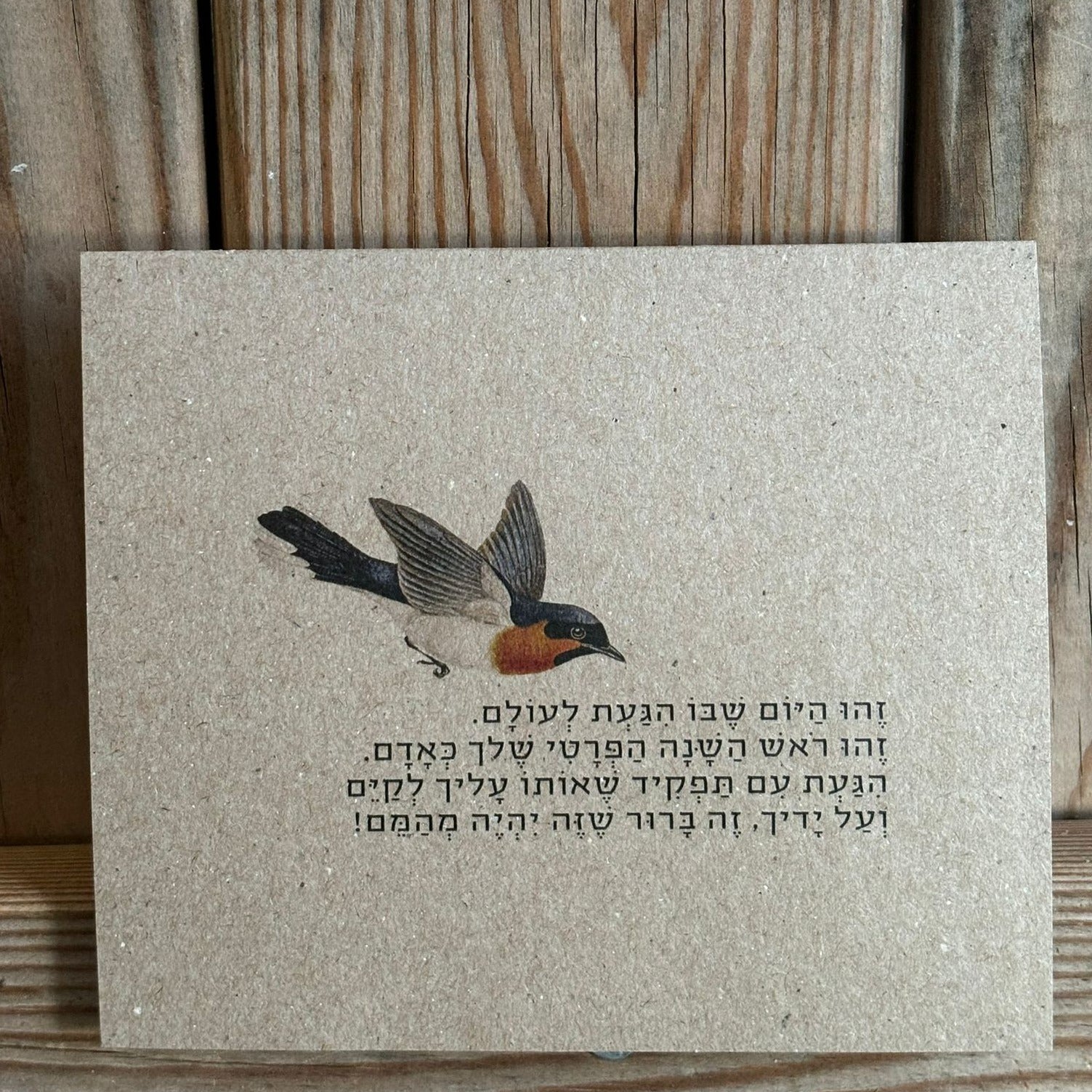 מארז גלויות - יום הולדת בעיצוב ״טבע״