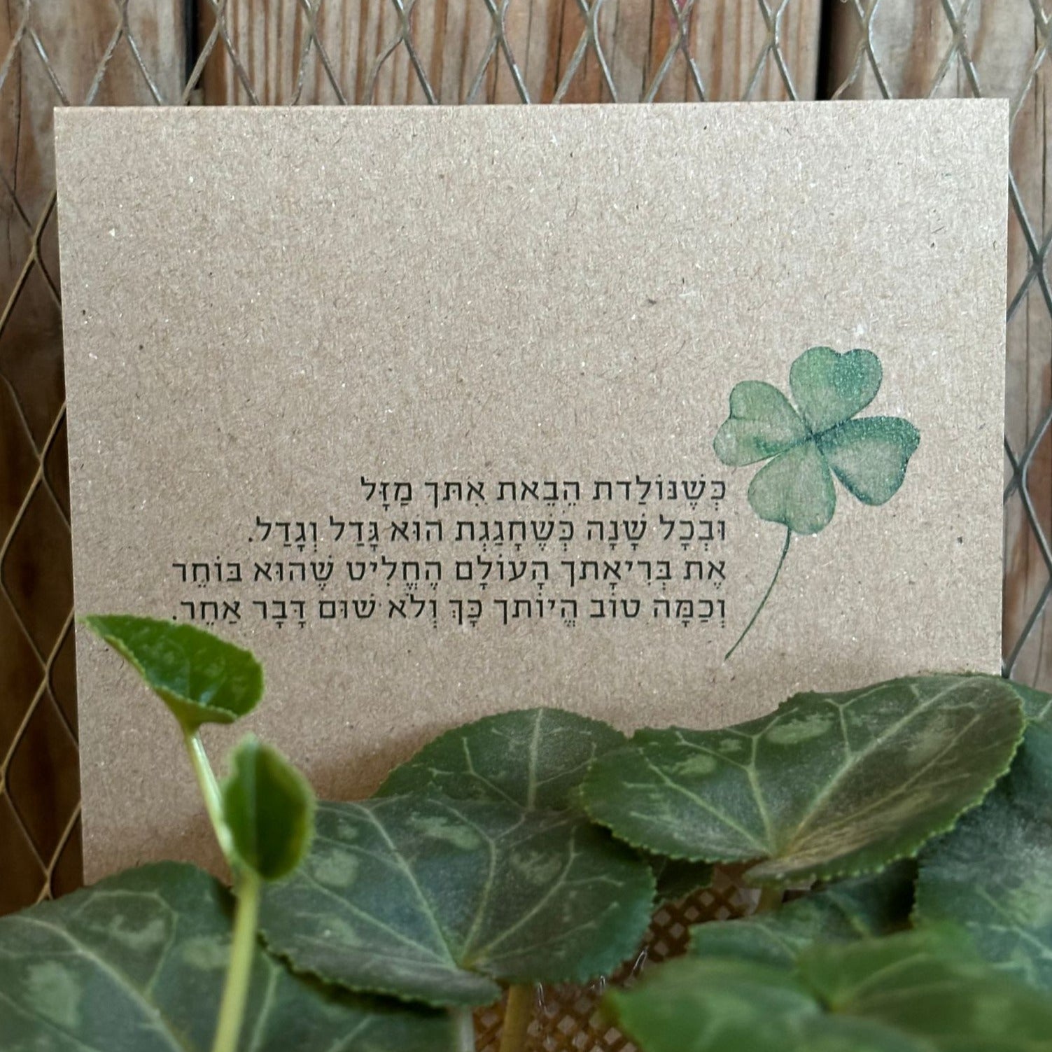 מארז גלויות - יום הולדת בעיצוב ״טבע״