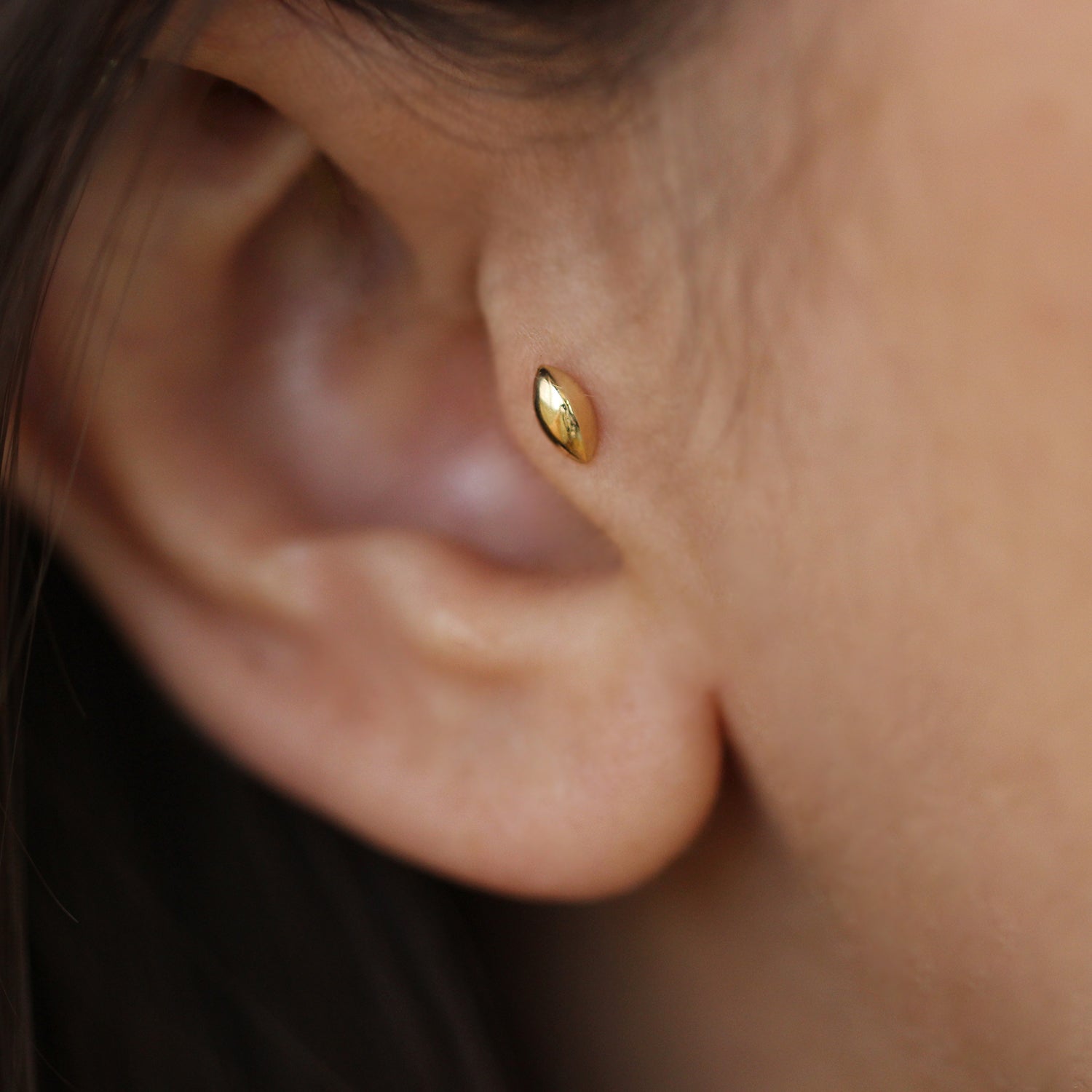 עגיל פירסינג הולי