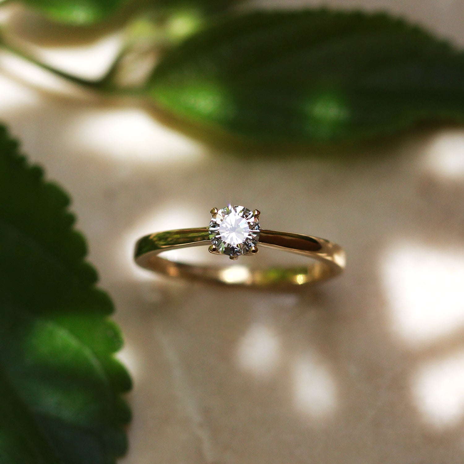 טבעת מונרו 4.5 מ״מ