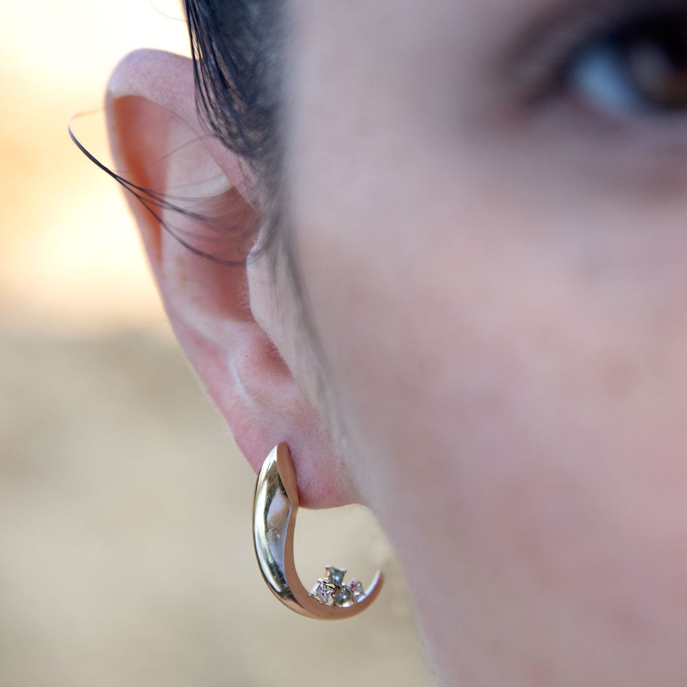 עגילי פרוסט