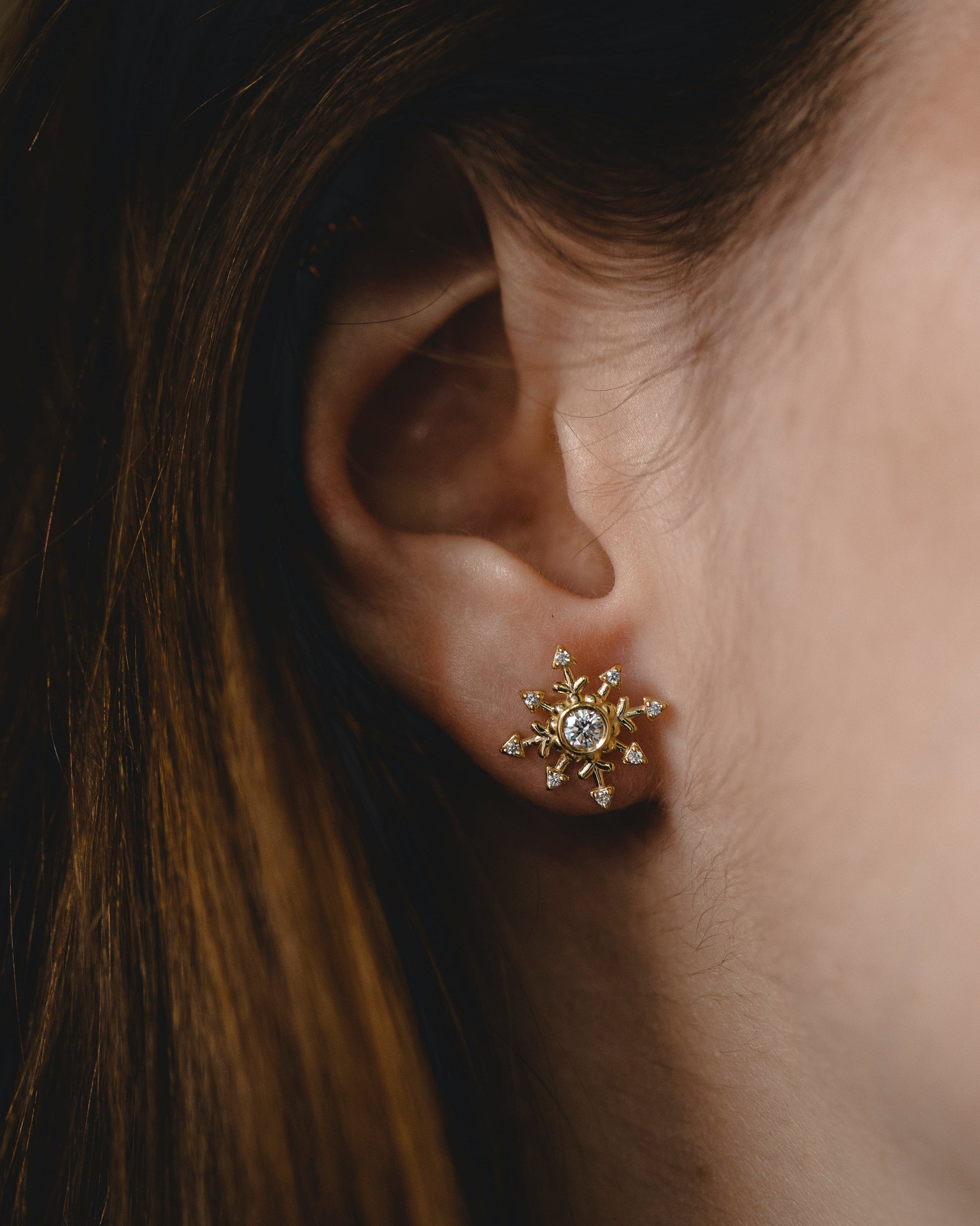 העגילים של עדי