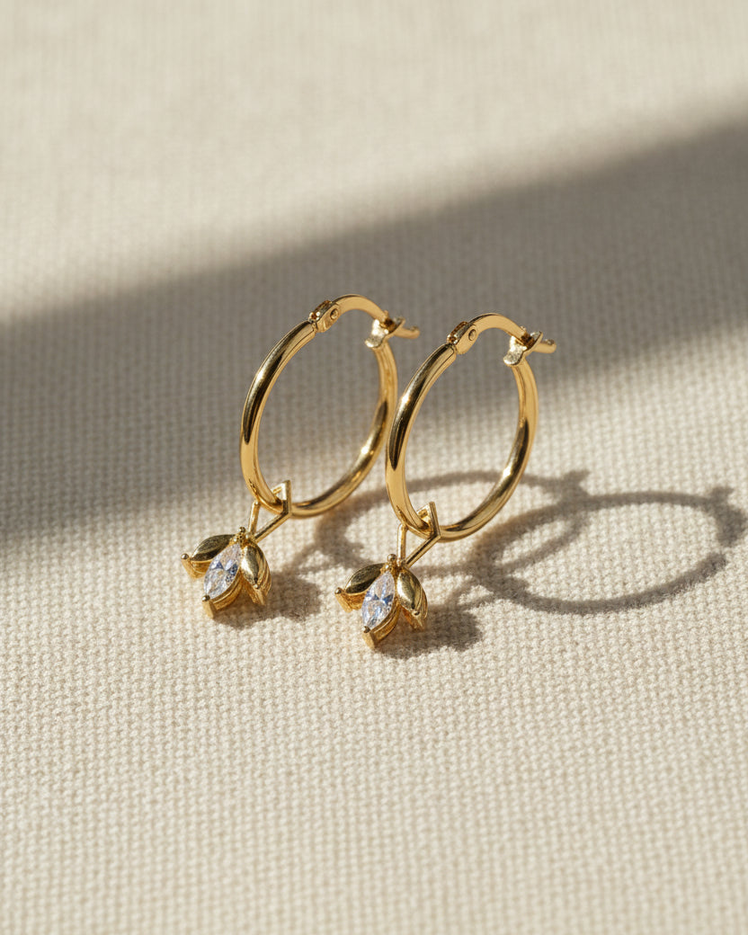 צ׳ארם פאולין