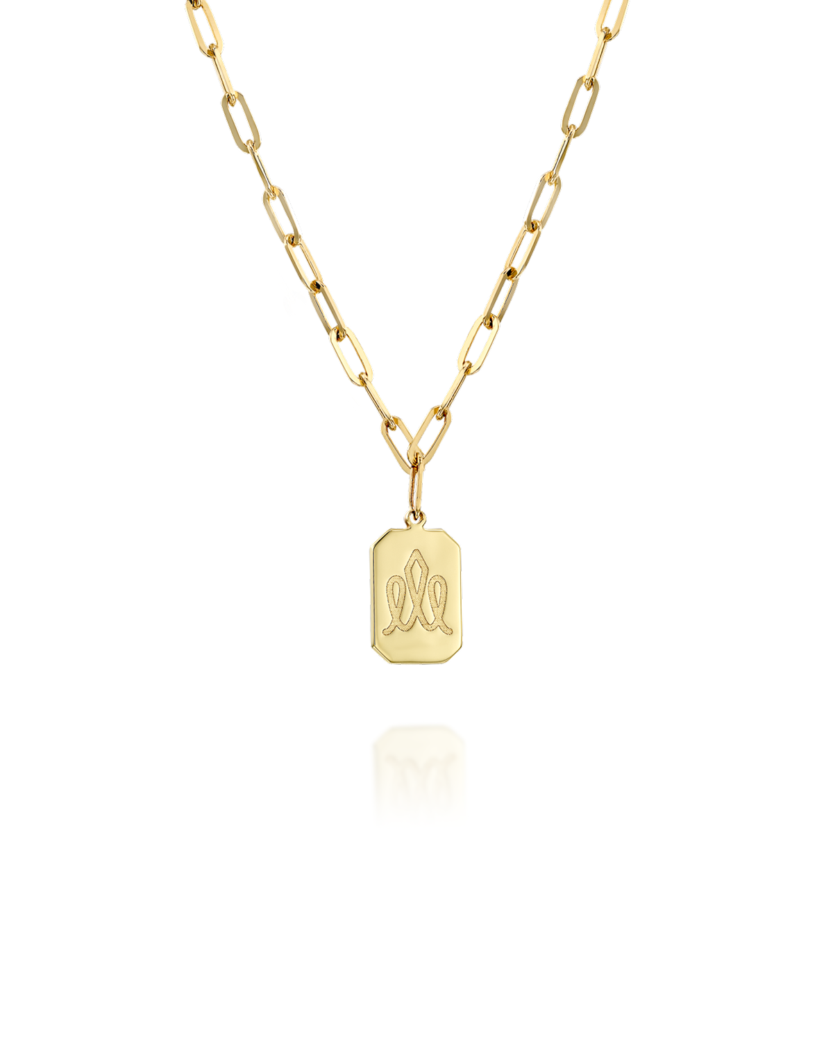 שרשרת דיסקית