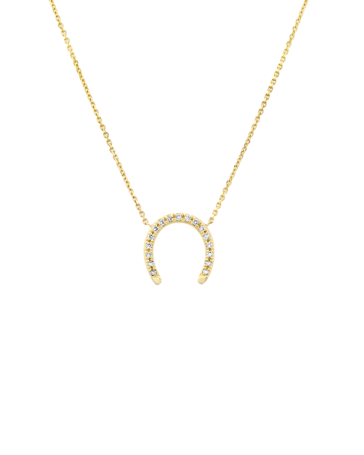 שרשרת פרסה מוגדלת