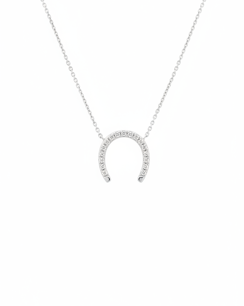 שרשרת פרסה מוגדלת