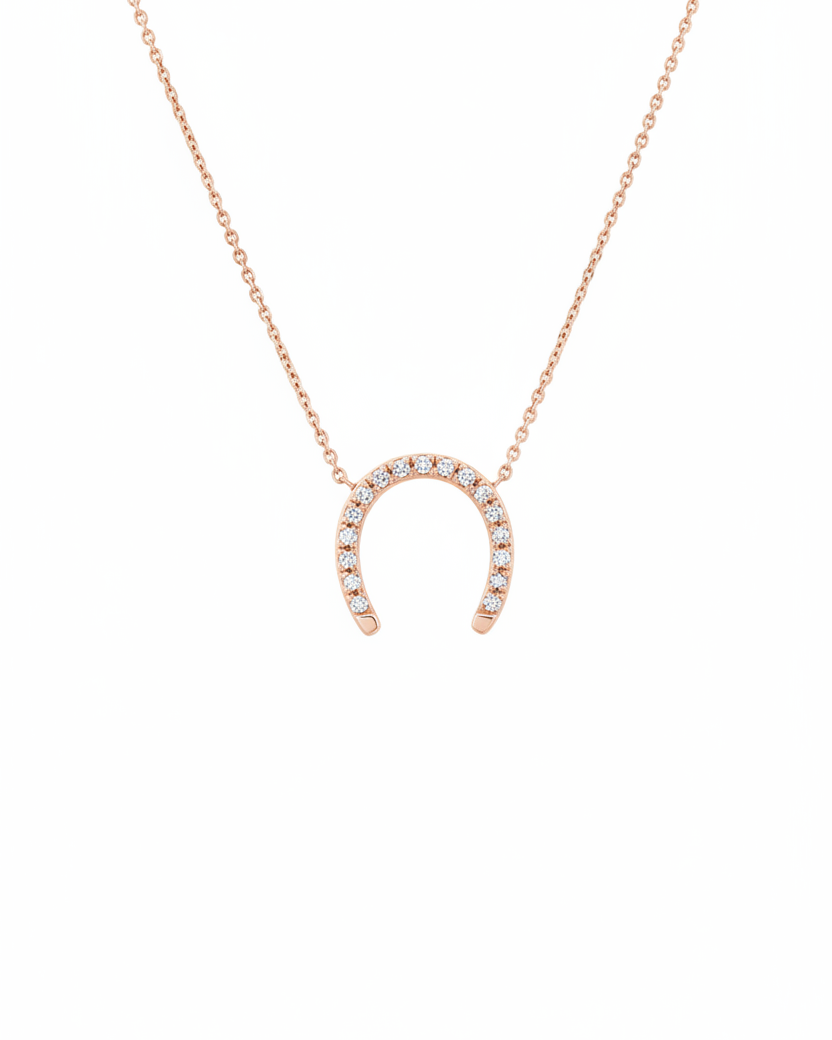 שרשרת פרסה מוגדלת