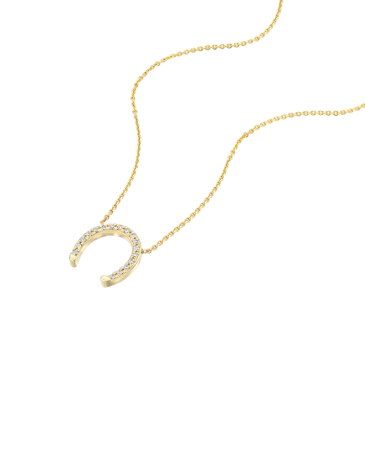 שרשרת פרסה מוגדלת