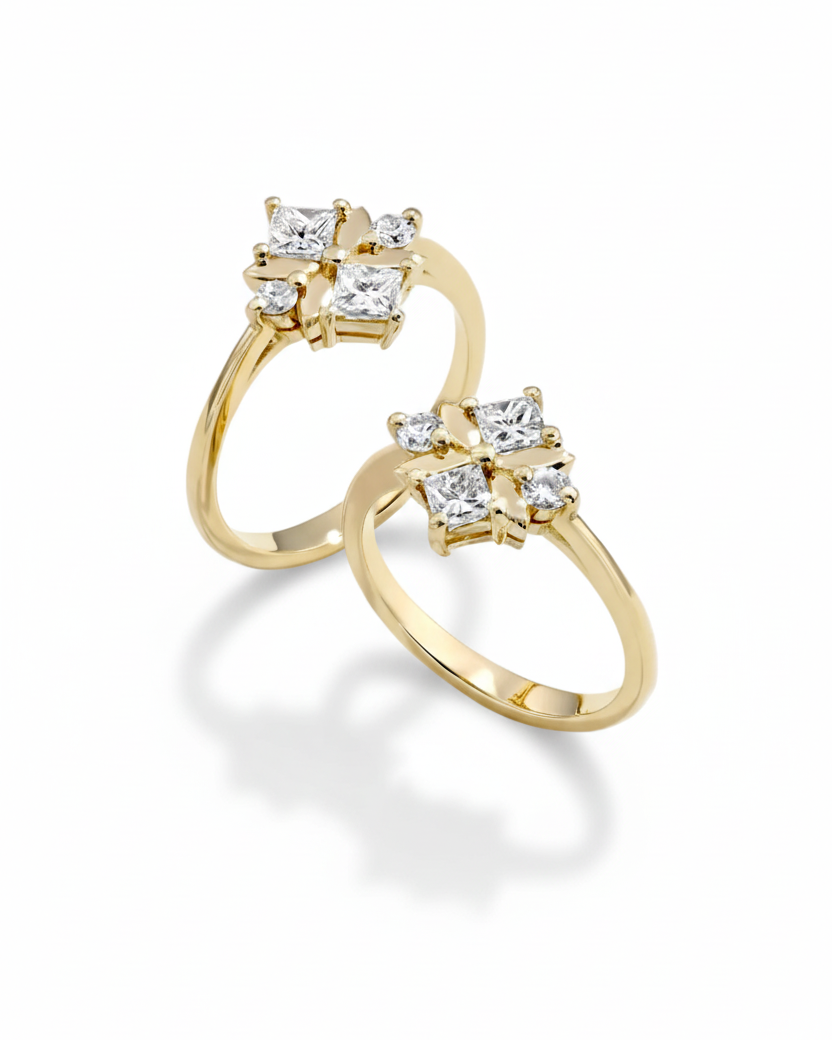 הטבעת של דניאל ואופיר