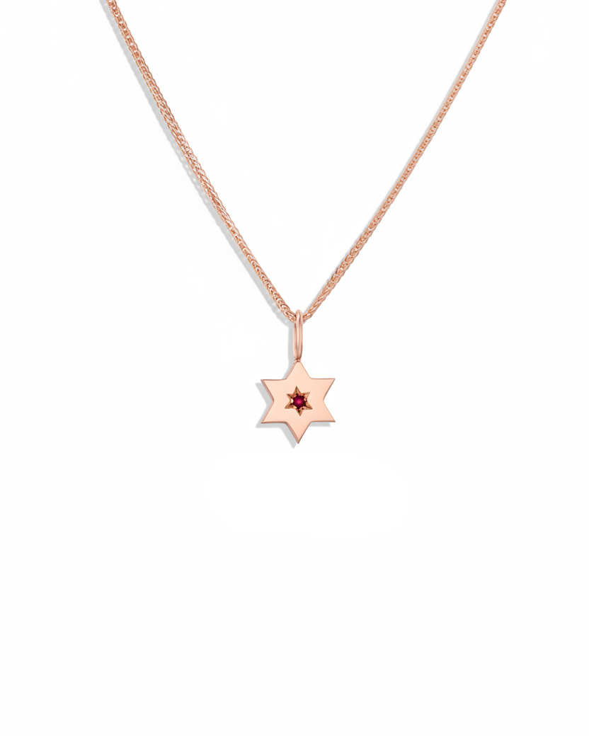 תליון מגן העוטף רובי