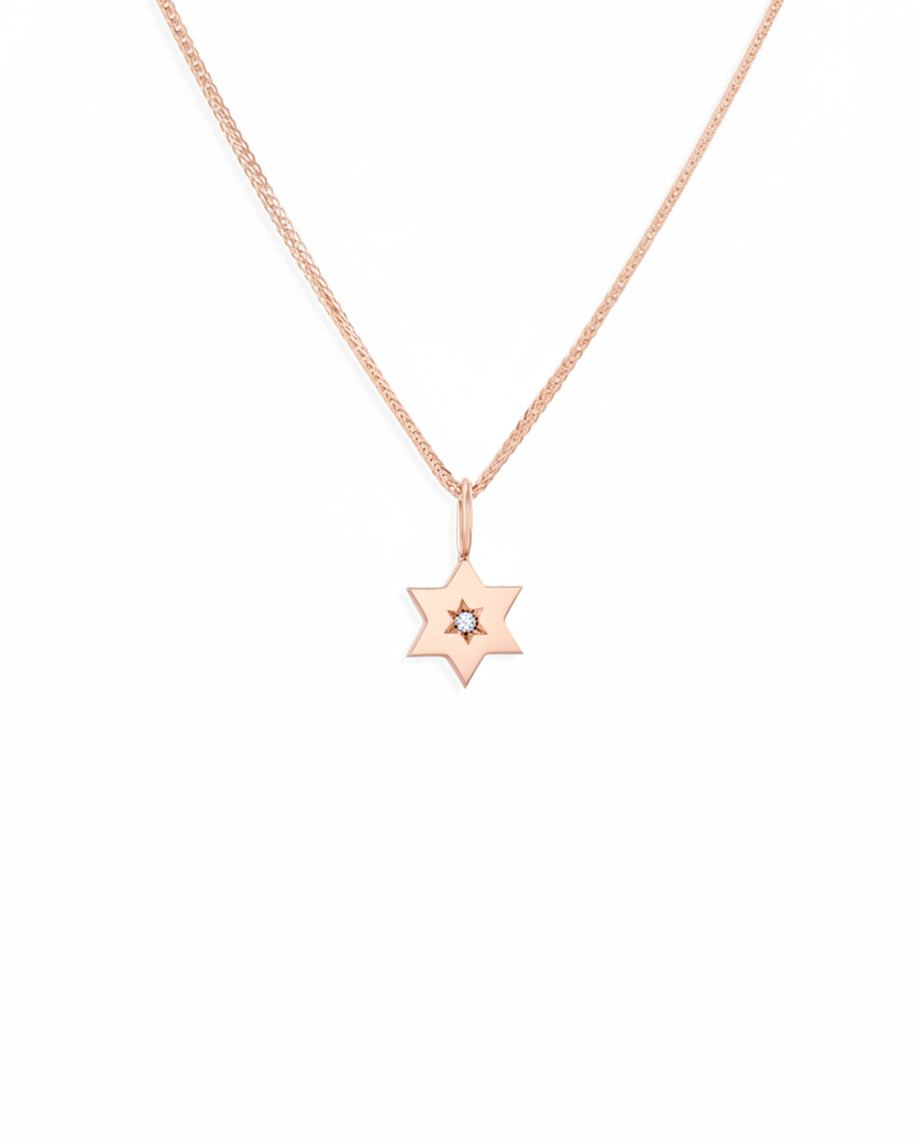 תליון מגן העוטף יהלום לבן