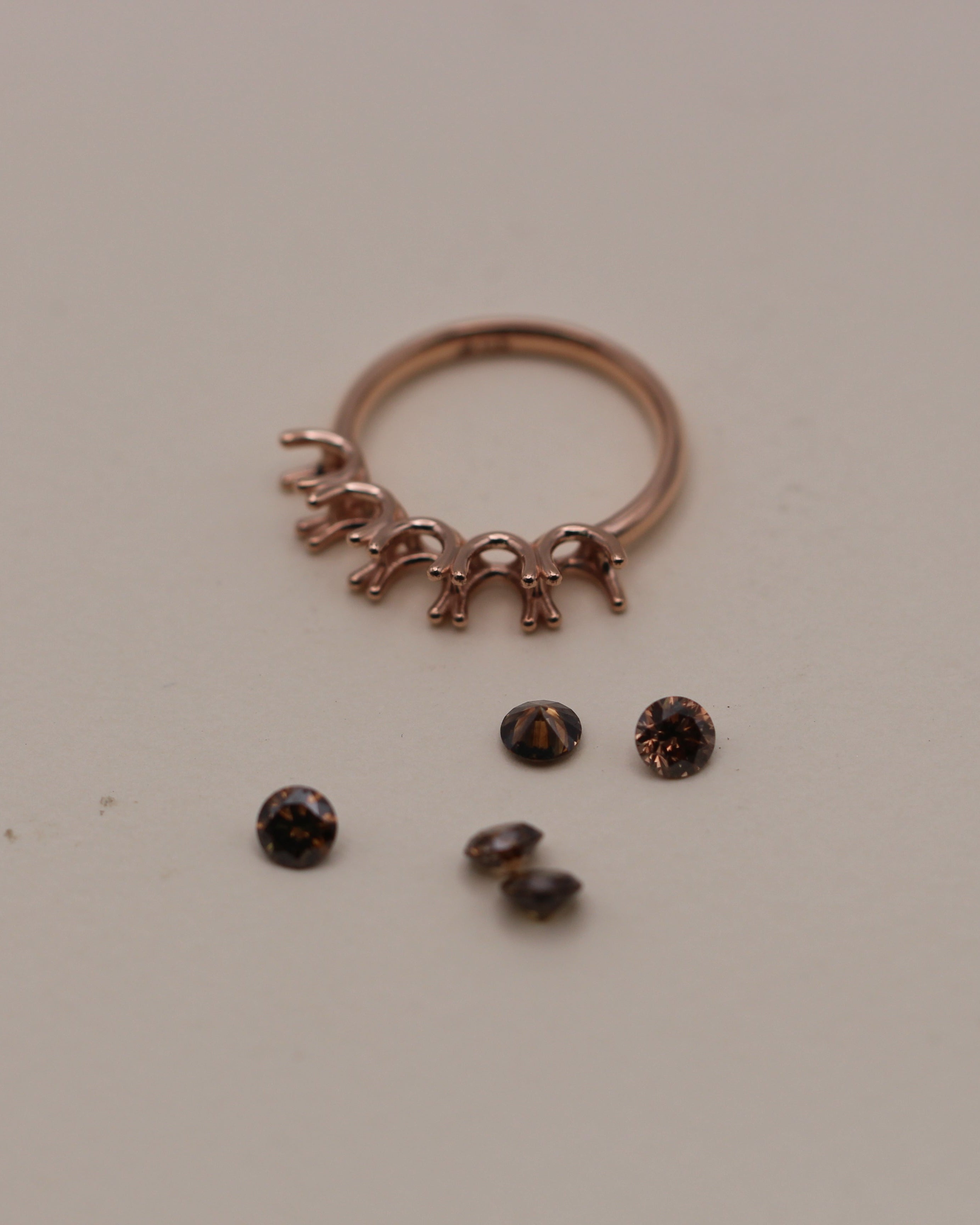 הטבעת של אסנת