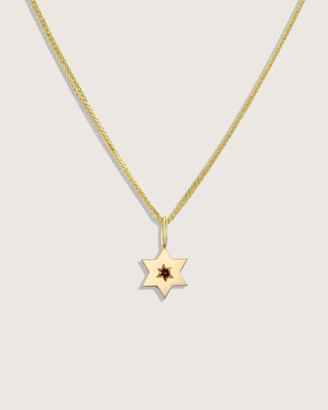 תליון מגן העוטף רובי