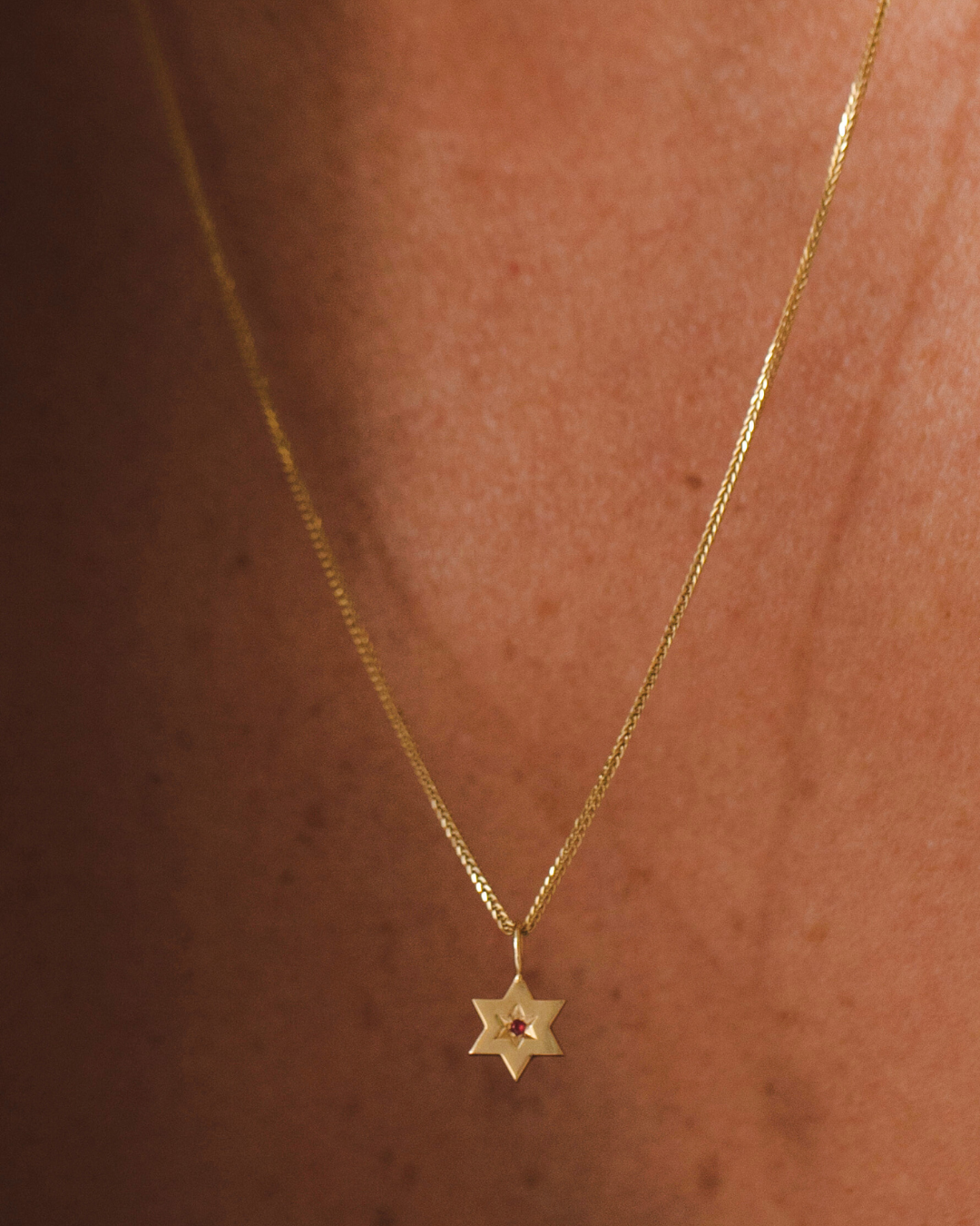 תליון מגן העוטף רובי