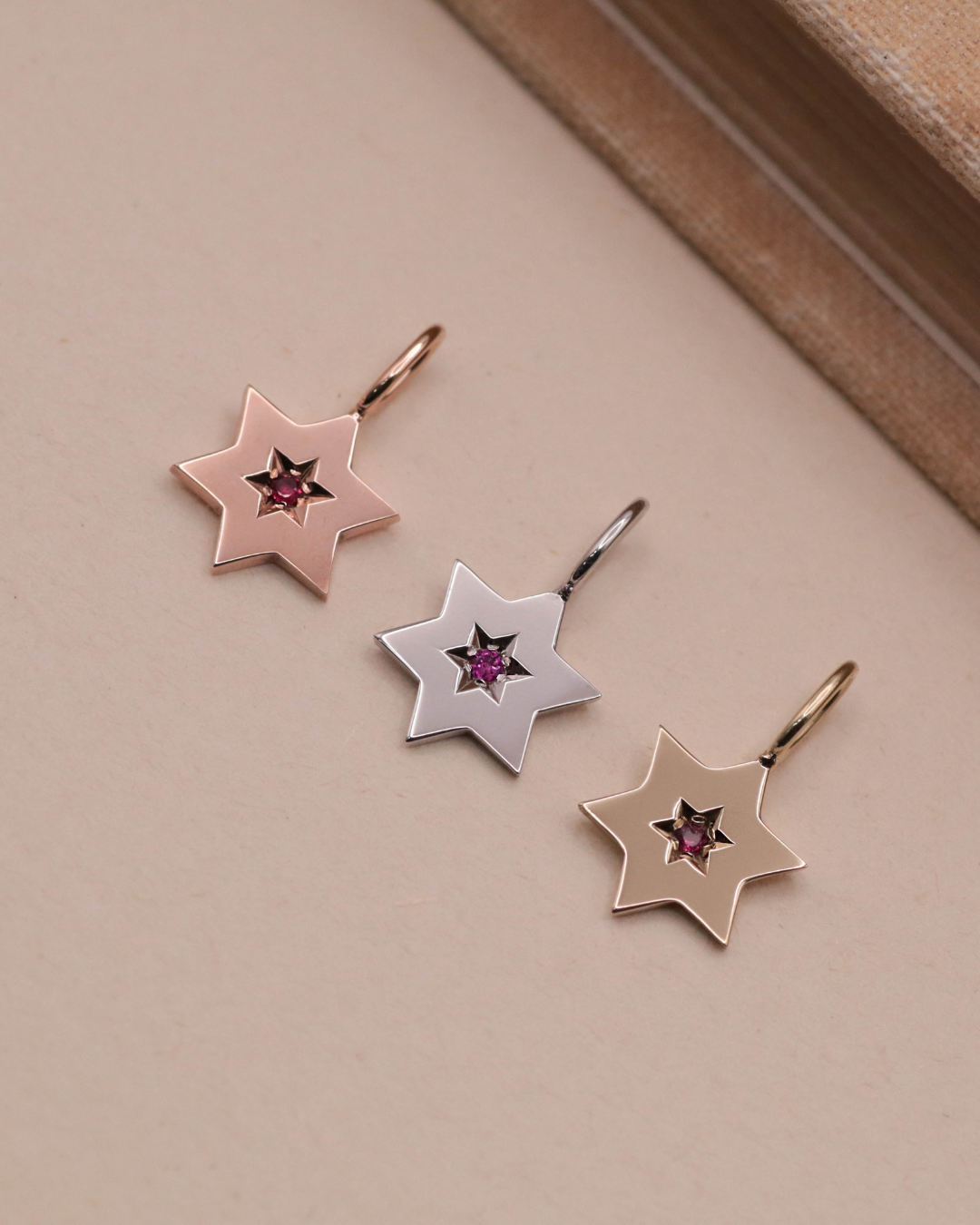 תליון מגן העוטף רובי